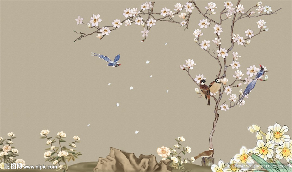 玉兰花鸟