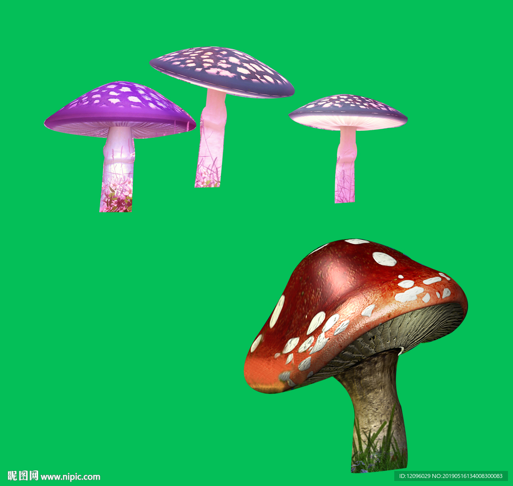 蘑菇
