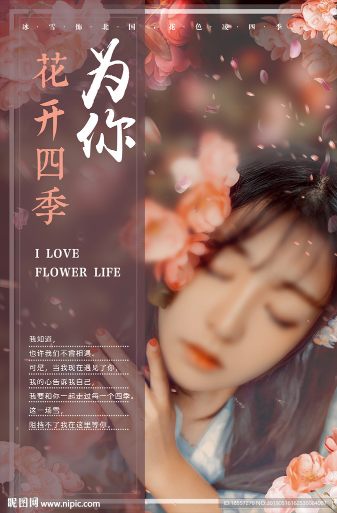 花海报