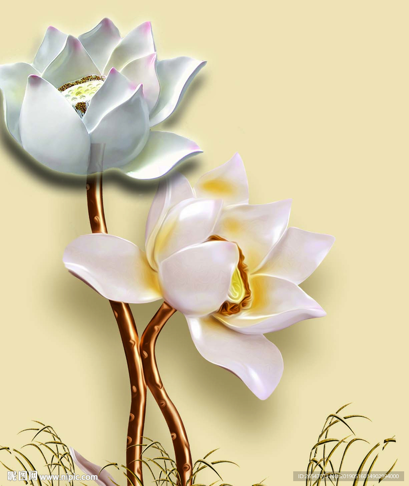 荷花