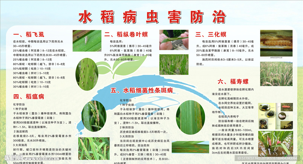 水稻病虫害防治