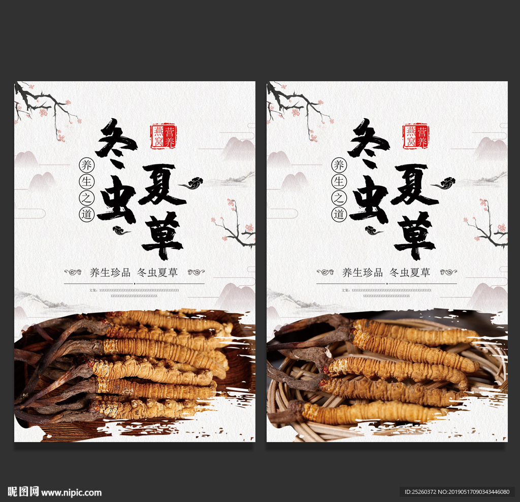 冬虫夏草