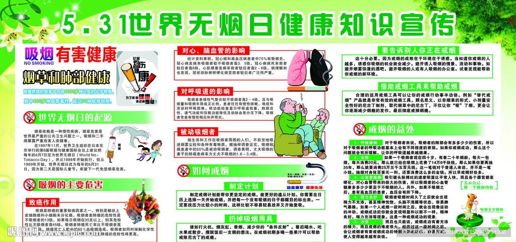 世界无烟日 烟草和肺部健康