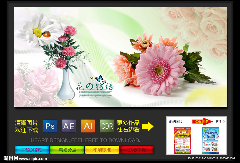 花物语　菊花