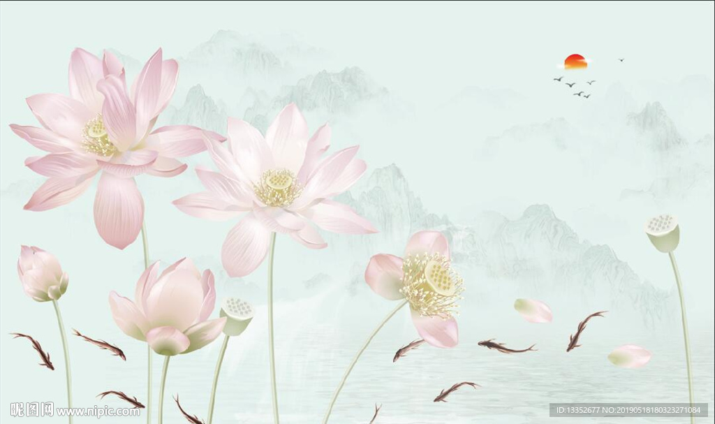荷花