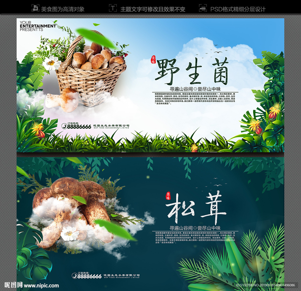 野生菌