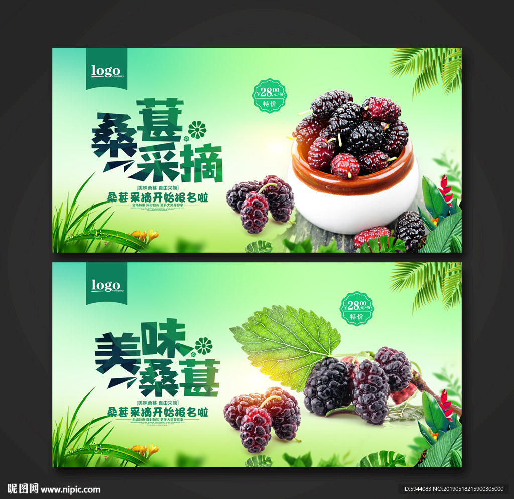 桑葚