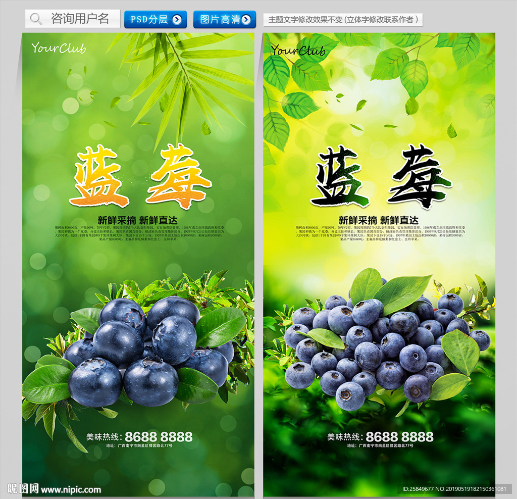 蓝莓