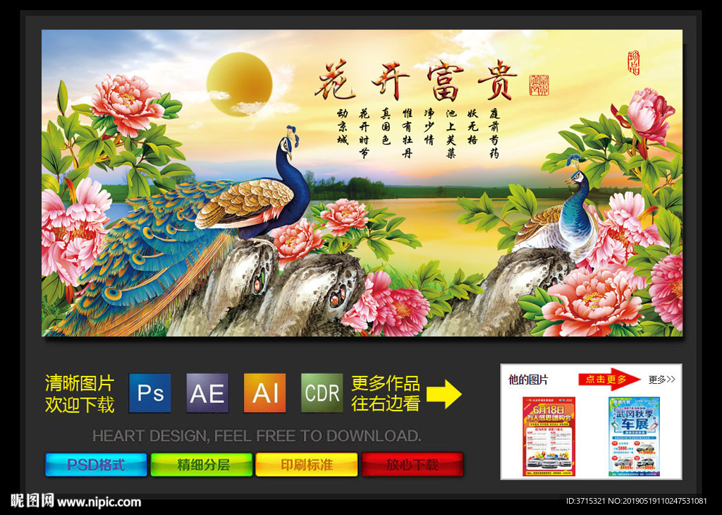 花开富贵高清