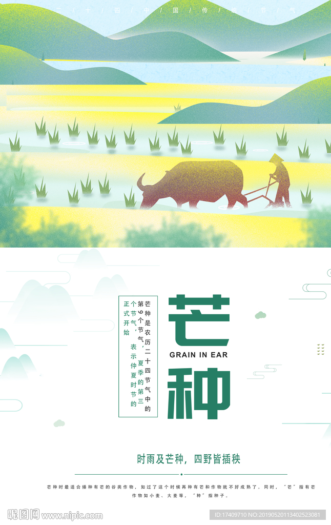 芒种海报