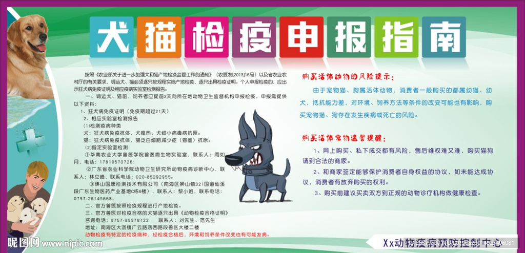 简洁版狂犬病健康宣传栏