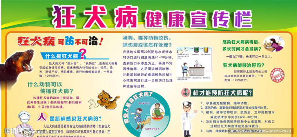 最正规版狂犬病健康宣传栏