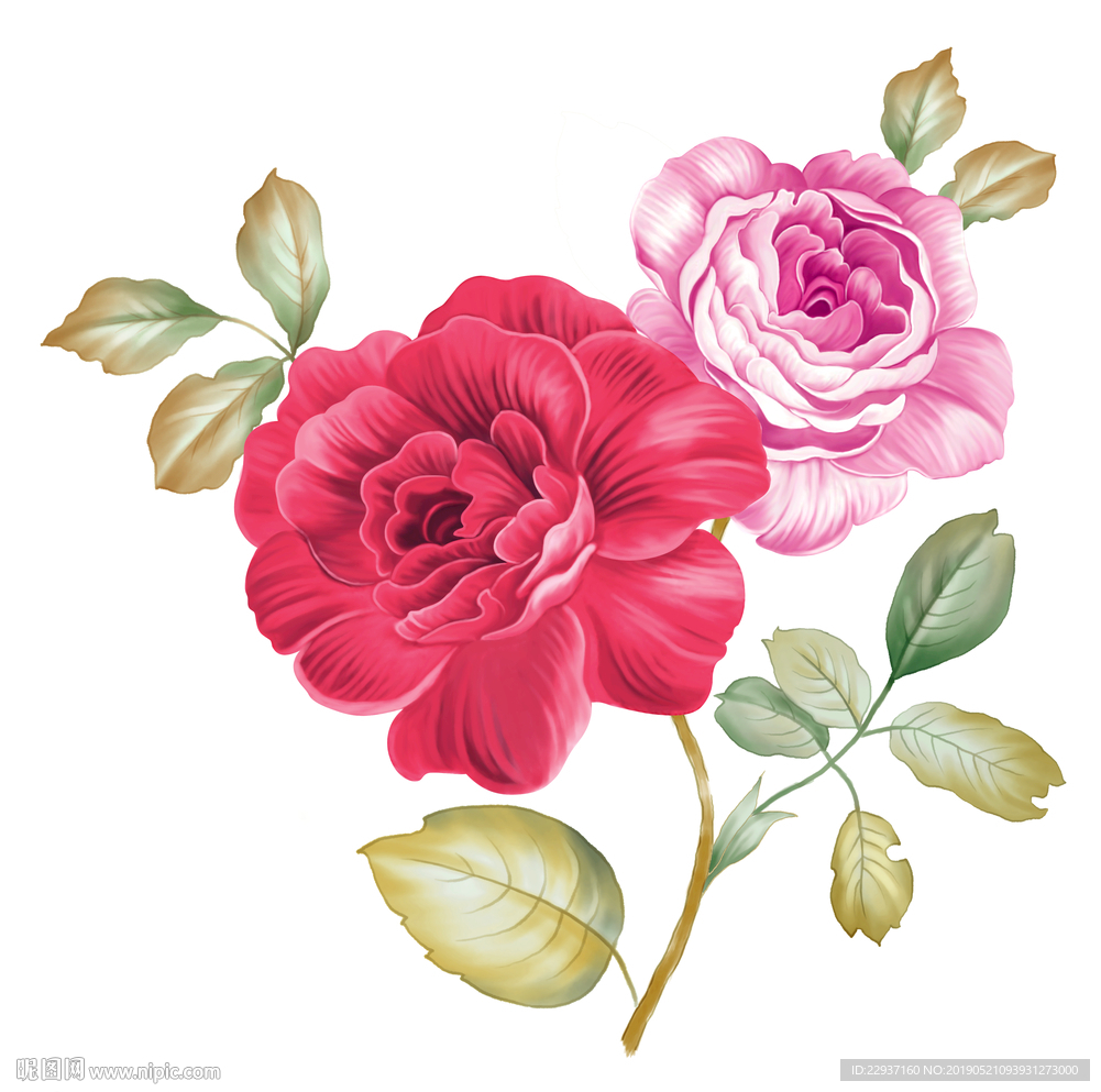 手绘花