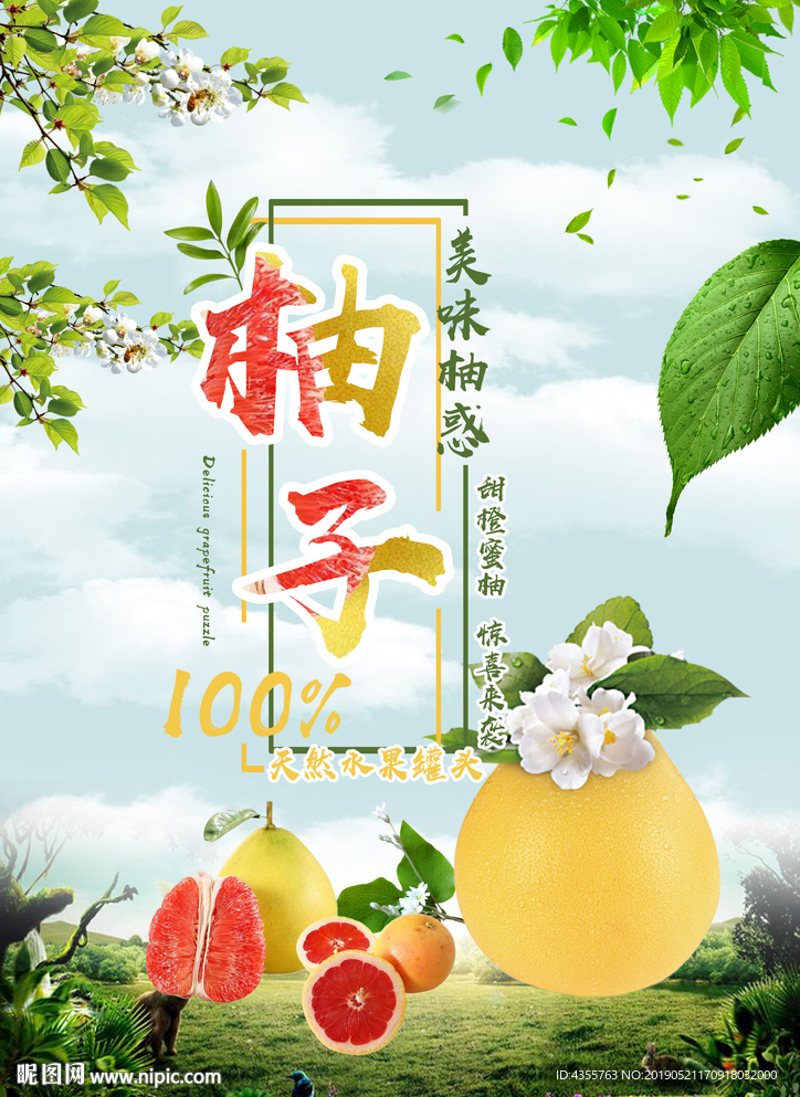 柚子海报