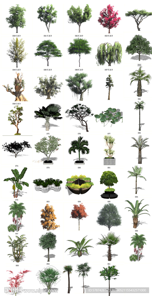 园林植物SU模型