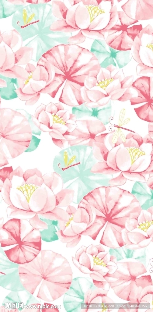 蜻蜓荷花