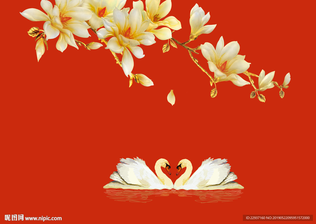 玉兰花 天鹅