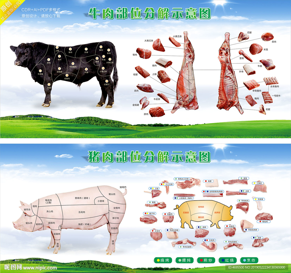 猪小肚是哪个部位，猪的肚皮叫什么|admin_人人点
