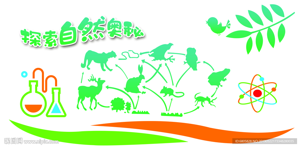 学校文化生物墙体展板食物链