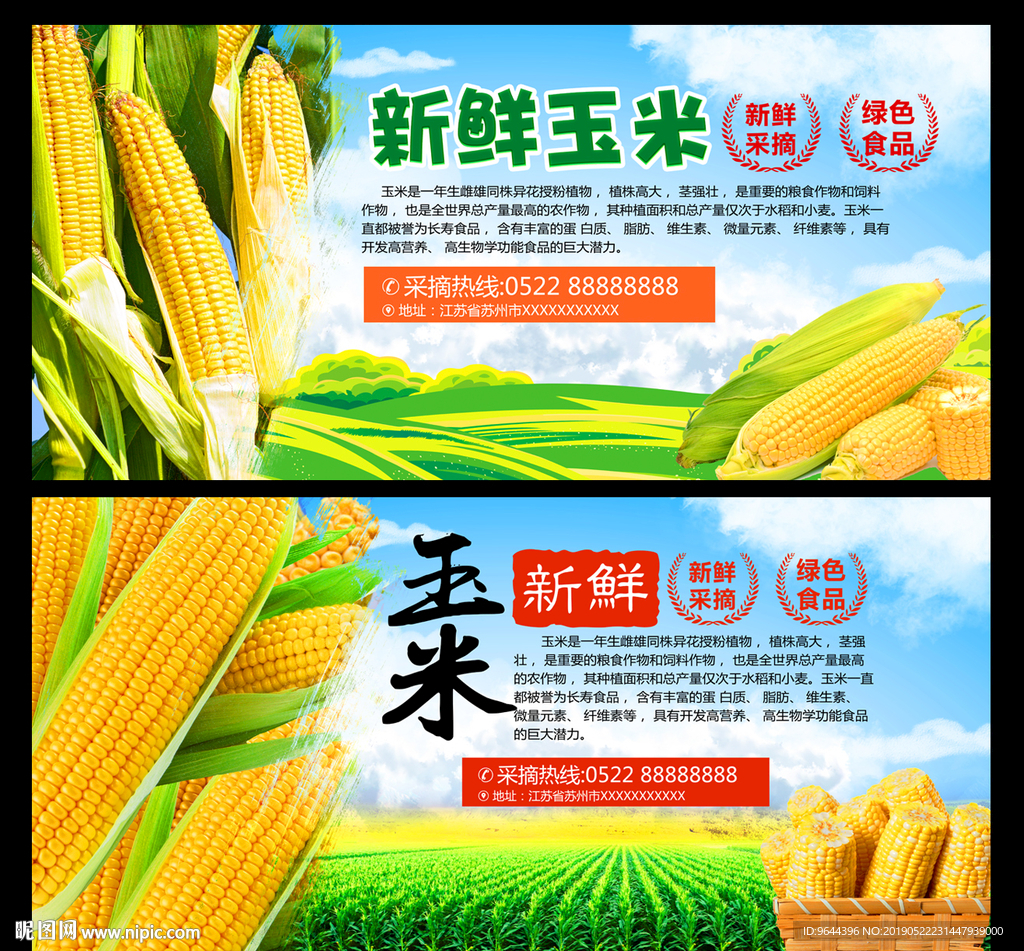 玉米