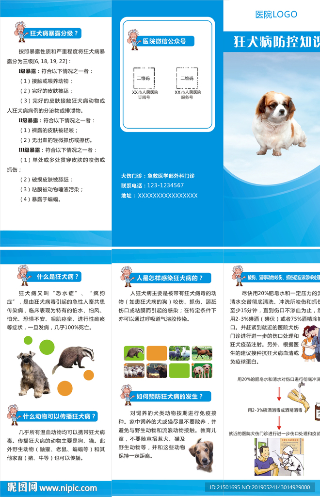 预防狂犬病三折页图片