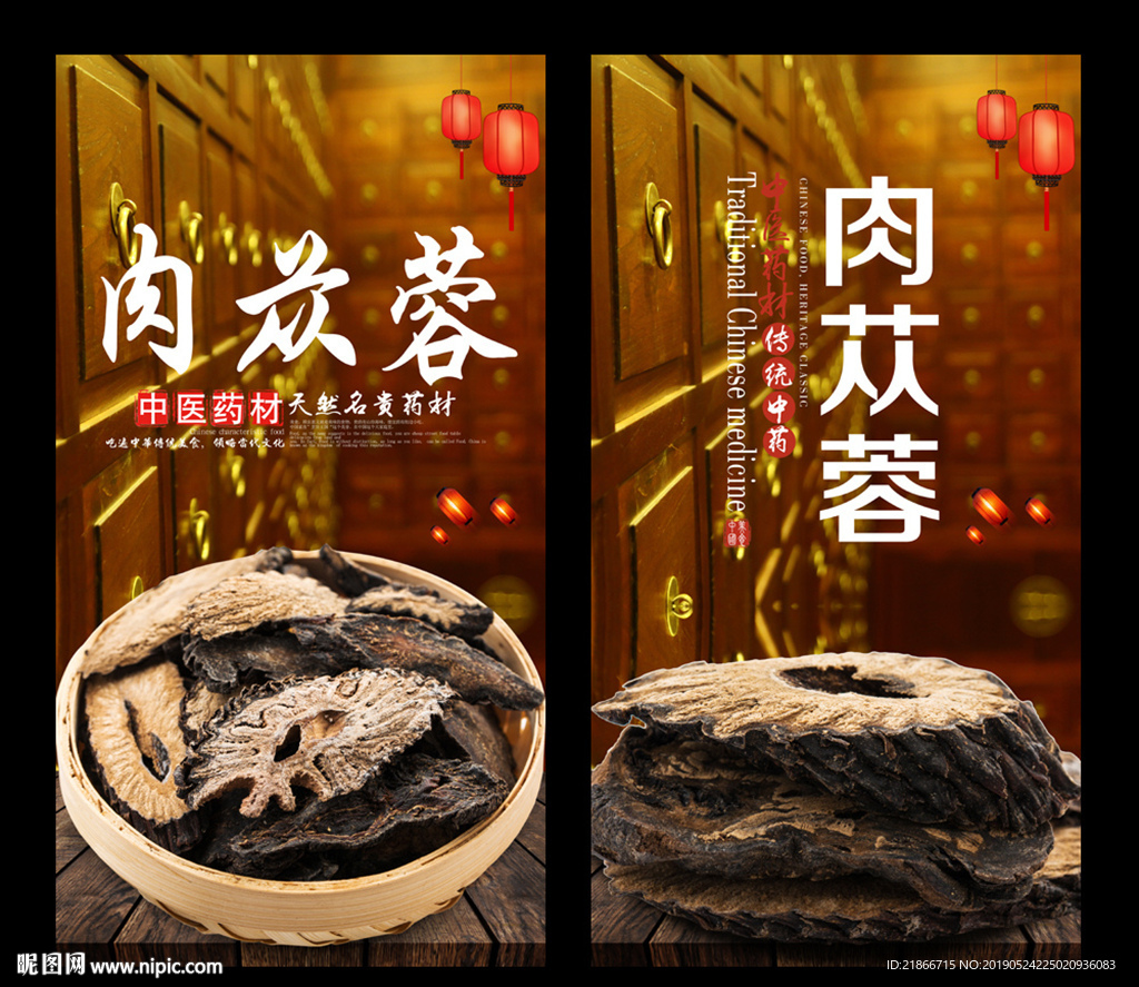 肉苁蓉