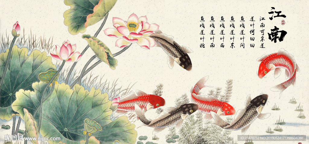 荷花