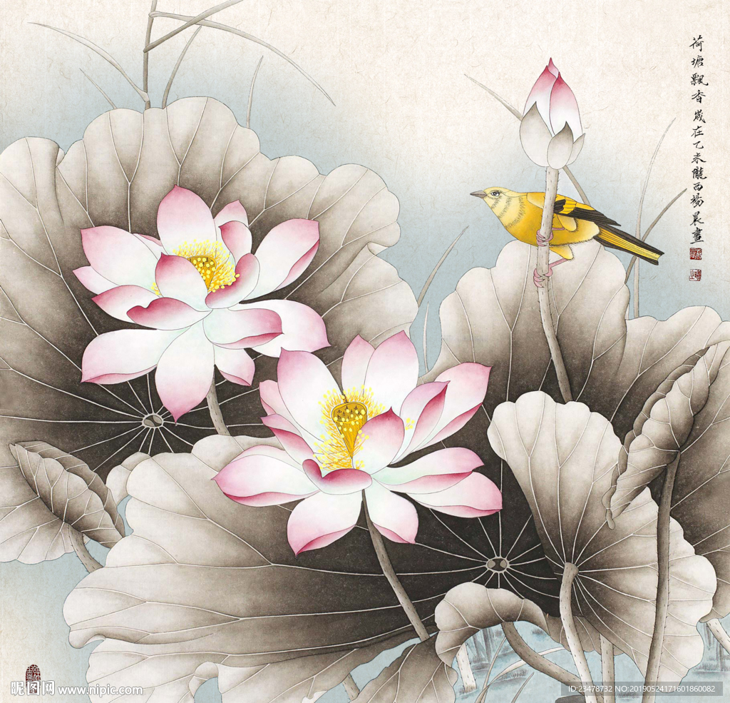 荷花