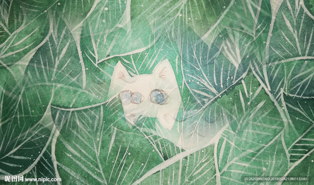 植物叶子