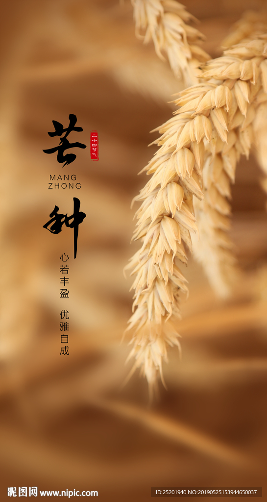 芒种节气