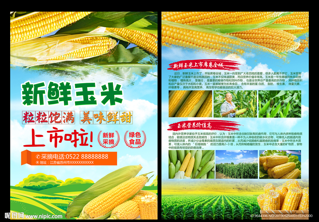 玉米单页