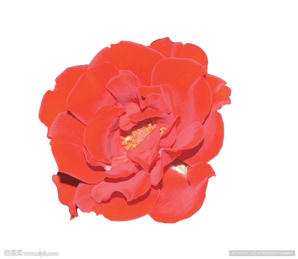 花朵矢量图