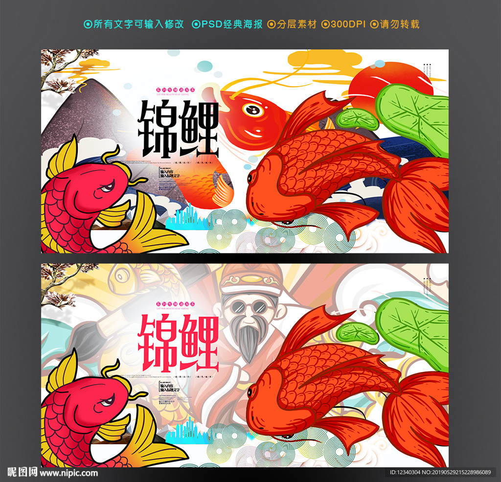 锦鲤