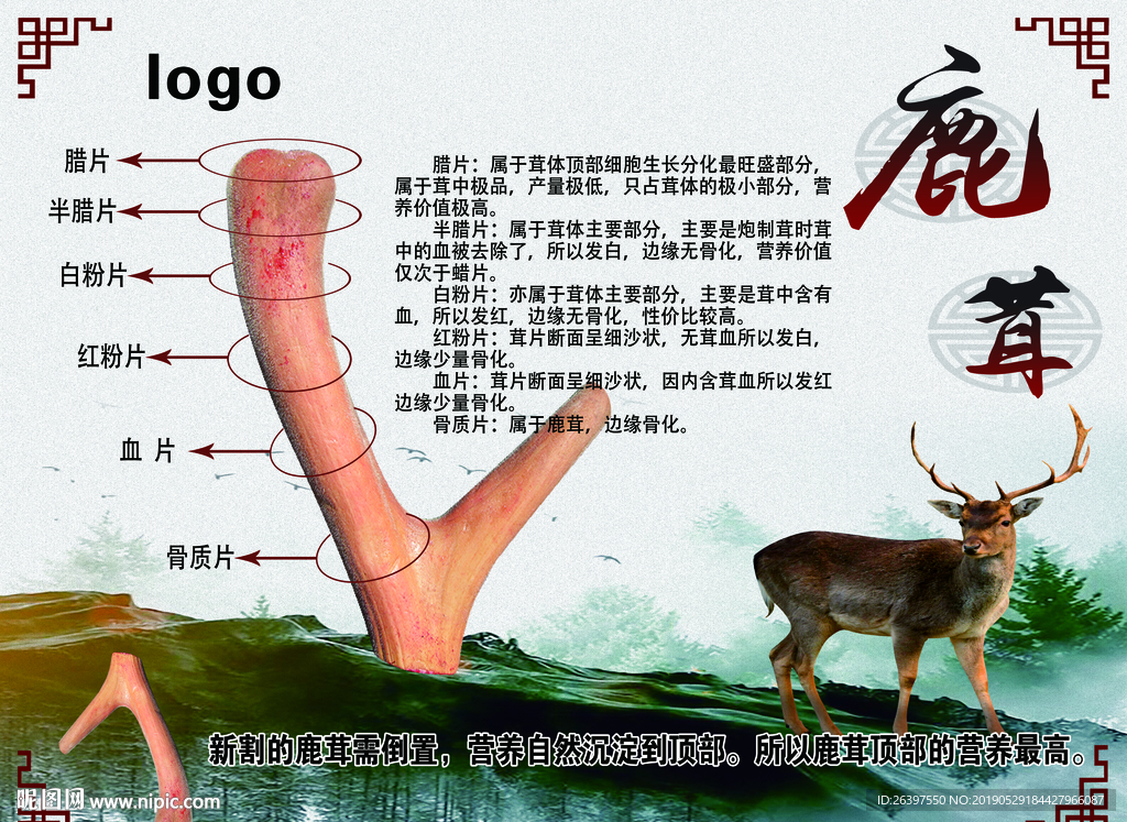 鹿产品
