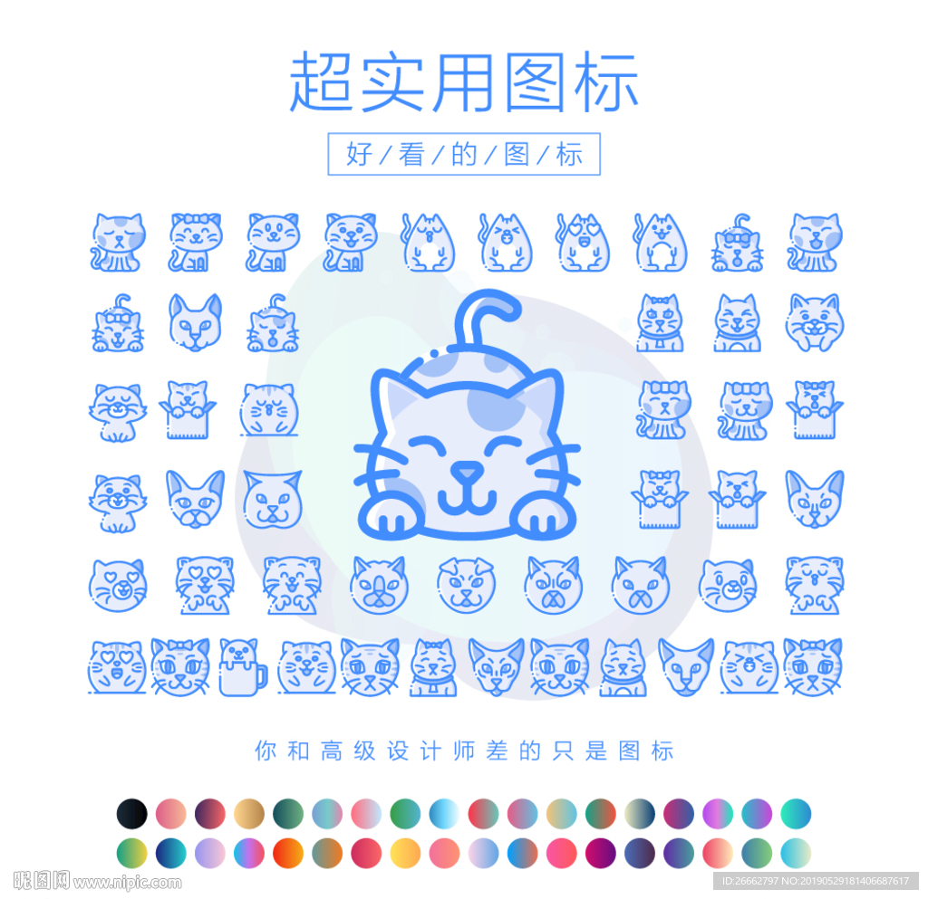 猫咪