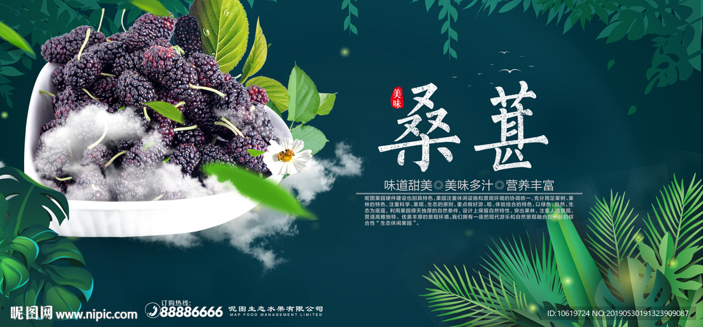 桑葚