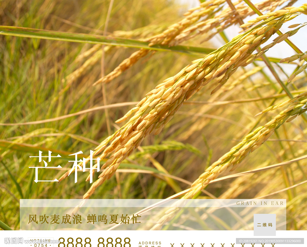 芒种地产海报