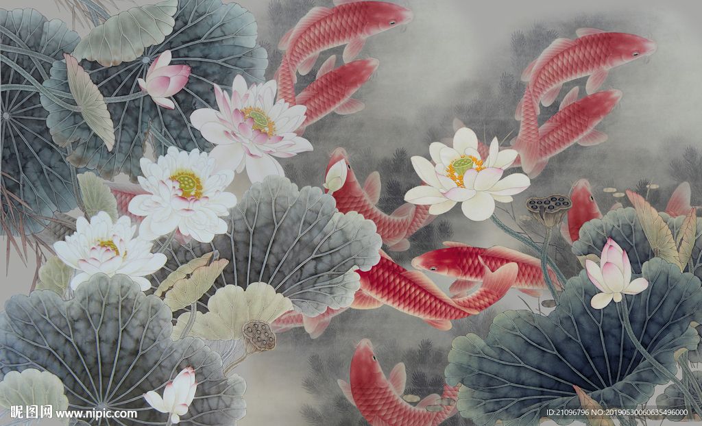 电视背景 荷花鲤鱼图