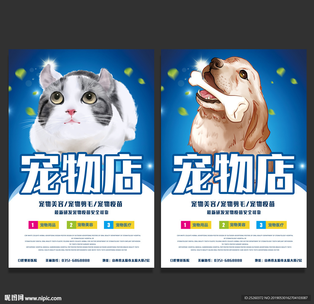 宠物