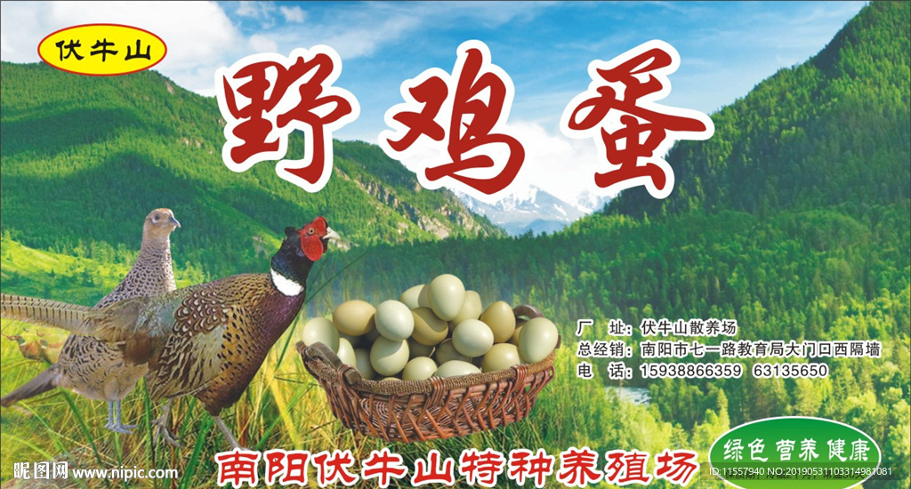 鸡蛋红箱