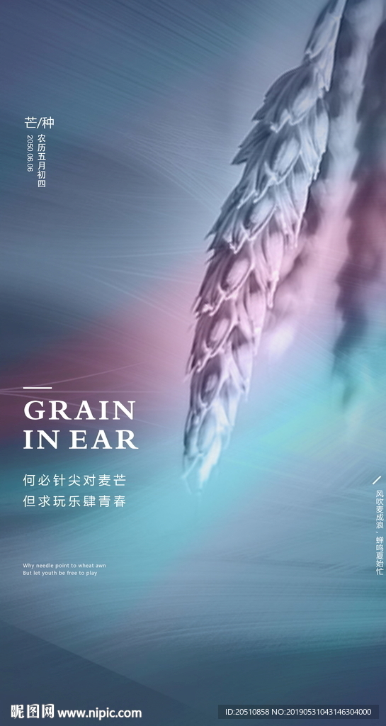 芒种海报二十四节气海报