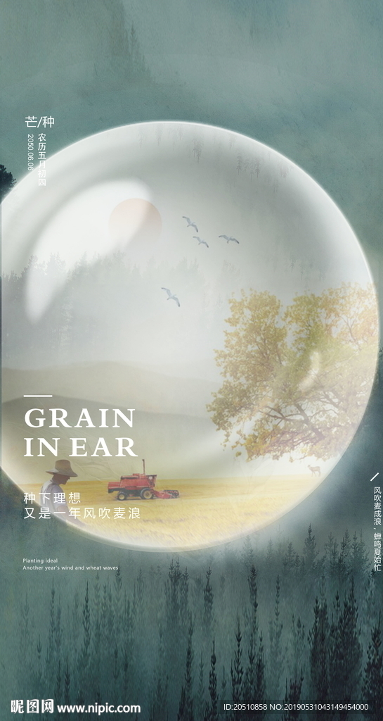 芒种海报二十四节气