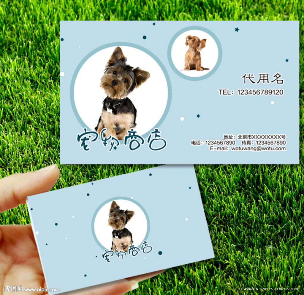 个性宠物店宠物用品店名片