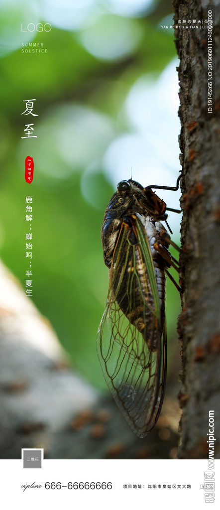夏至