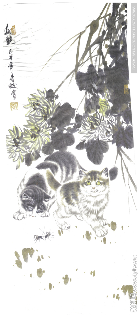 猫