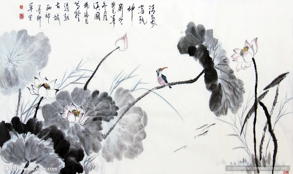 荷花