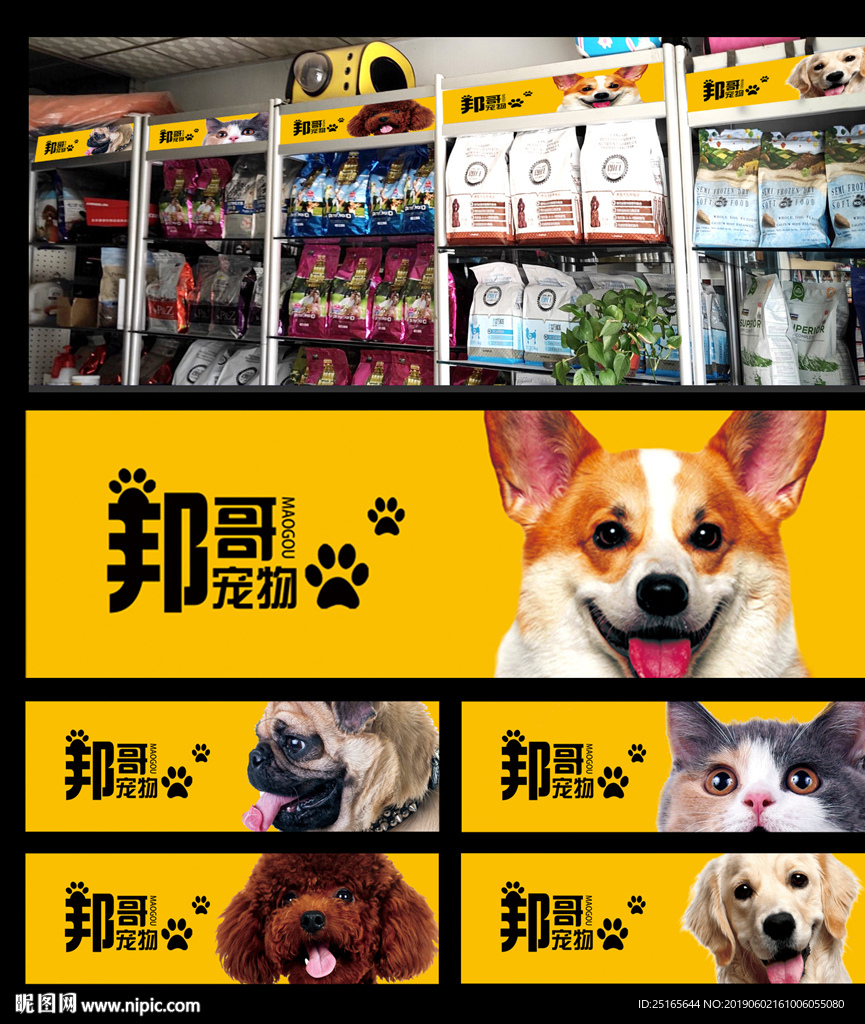 宠物店装饰