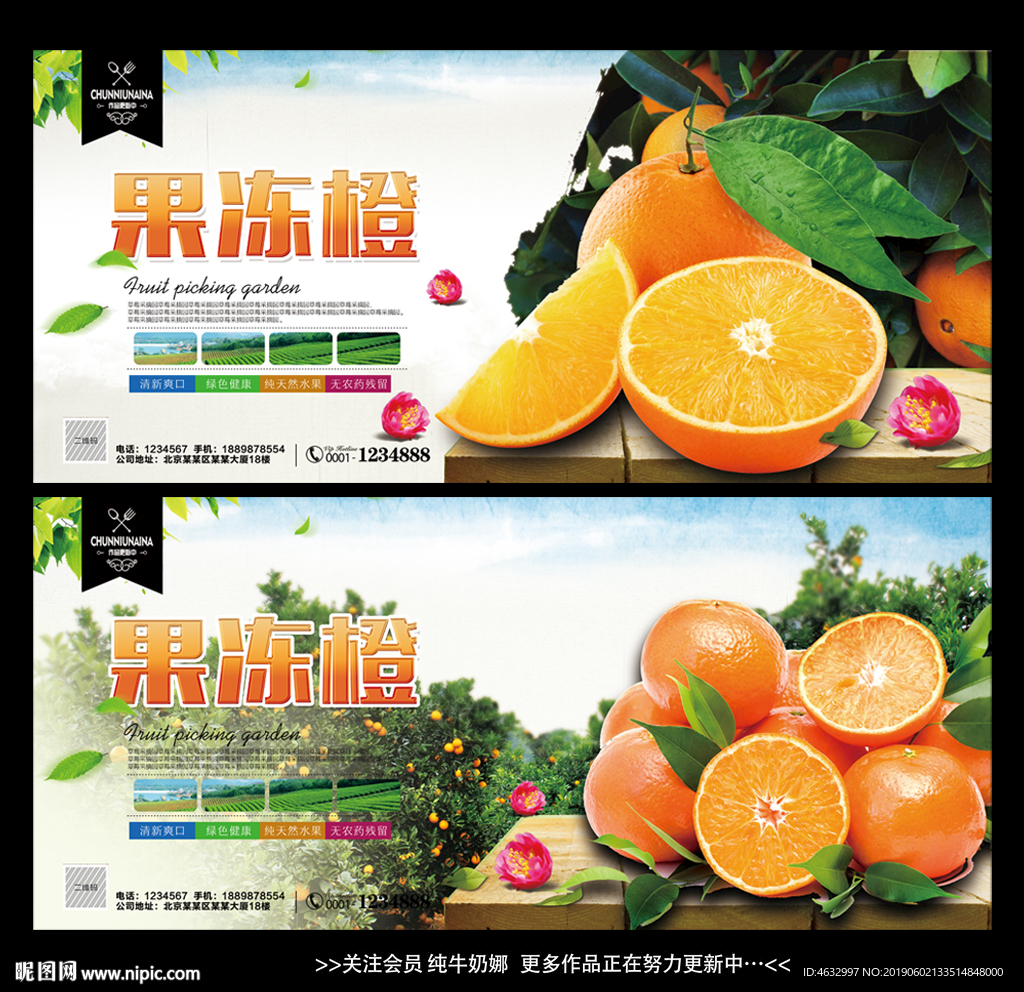 果冻橙