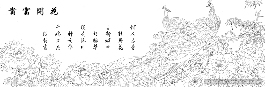 富贵花开