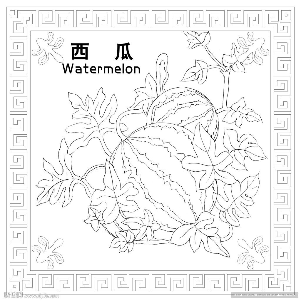 西瓜矢量